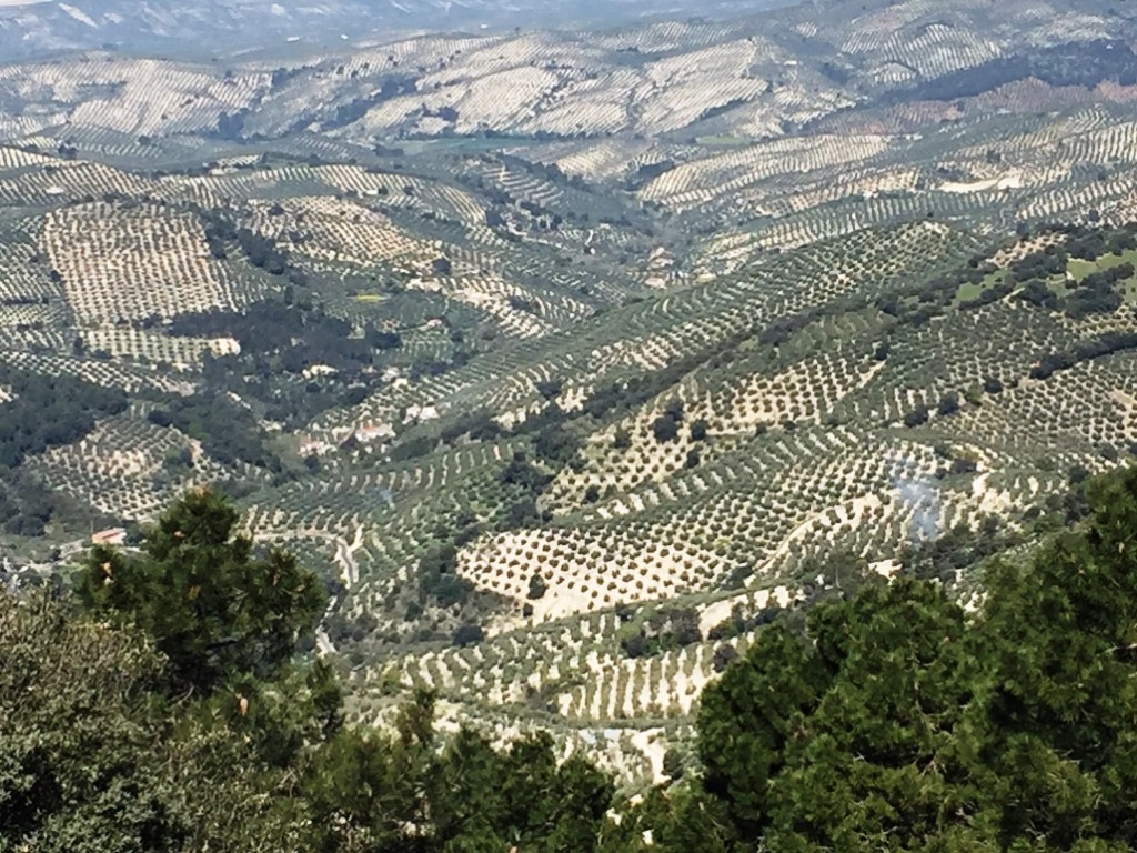 Sierra de Cazorla (Jaén). Vista desde el Mirador Paso del Aire. JFME