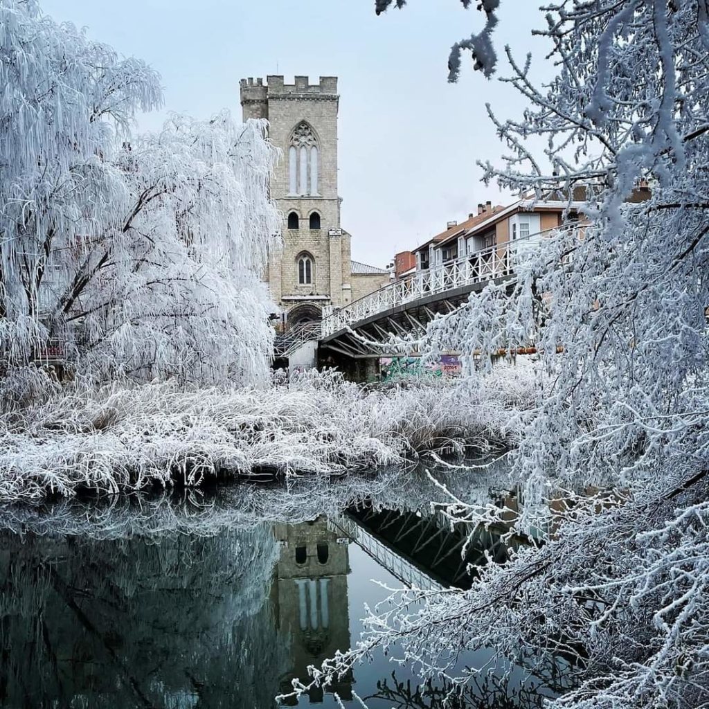 Mini Informe BOE DICIEMBRE 2020