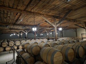 bodegas Concha y Toro. Chile